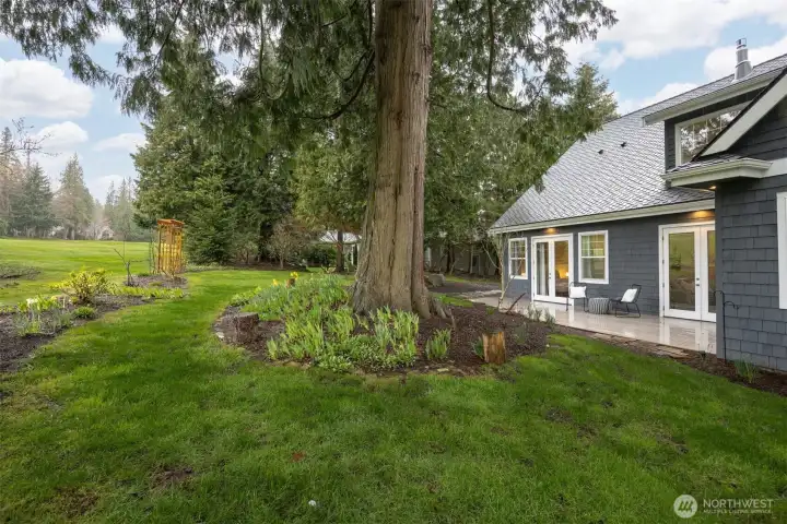 The yard offers a level space perfect for gardening, play, or simply unwinding at the end of the day. The yard offers a level space perfect for gardening, play, or simply unwinding at the end of the day.