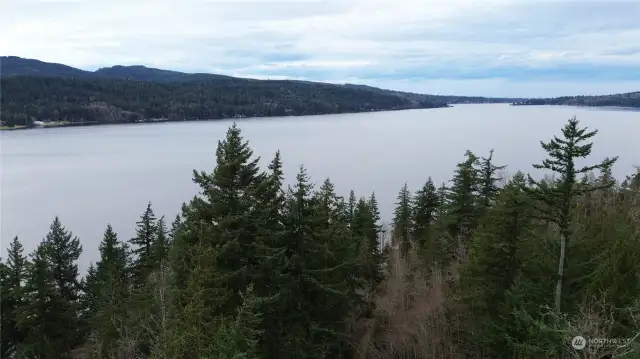 drone shot over property - clear some trees to get expansive views of Lake Whatcom and Lookout Mountain