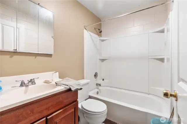 Lower level full bathroom