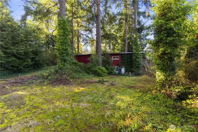 Backyard looking at the back of the house