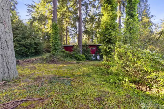 Large back yard with a detached Garage / Workshop