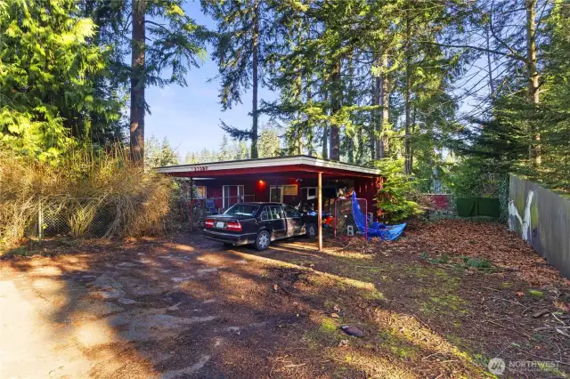 Driveway to access large backyard