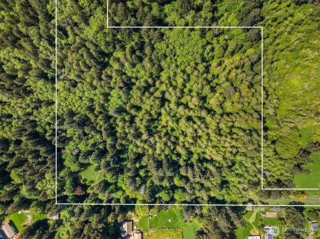 Build your dream home on nearly 20 acres of pristine forest with streams and trails in the heart of Bainbridge Island! This rare offering was once part of the historic Bucklin Hill Farm (est. 1887). Property outline is approximate.