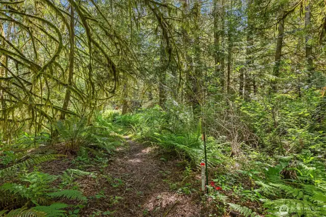 The surrounding acreage offers privacy and natural beauty, with shared trail upkeep and land stewardship through the HOA.