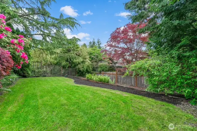 large great back yard