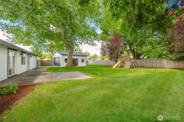 Fully fenced yard