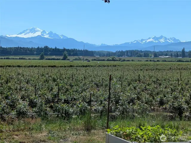 Look at the view right from your own living room window or yard!