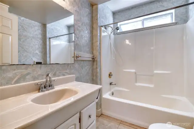 Lower Level bathroom