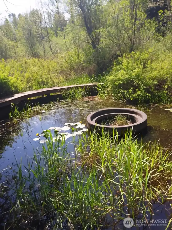 Moat in the Spring