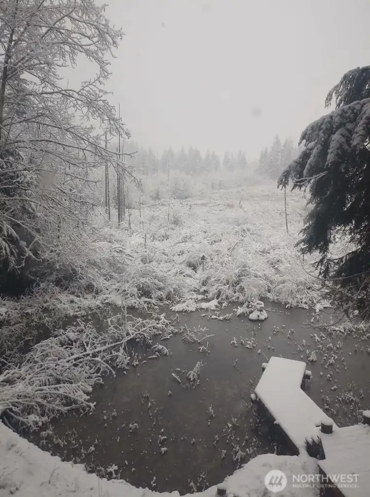 Moat in the Winter