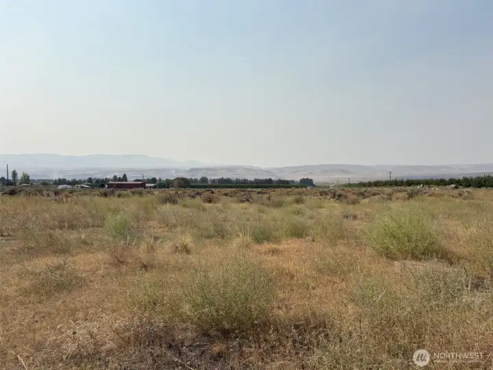 Looking north over the lot.