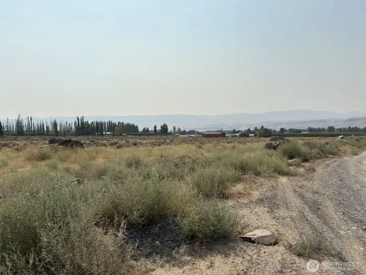 This is the S.E corner of the lot. See the gravel road the runs along the south side of the property.