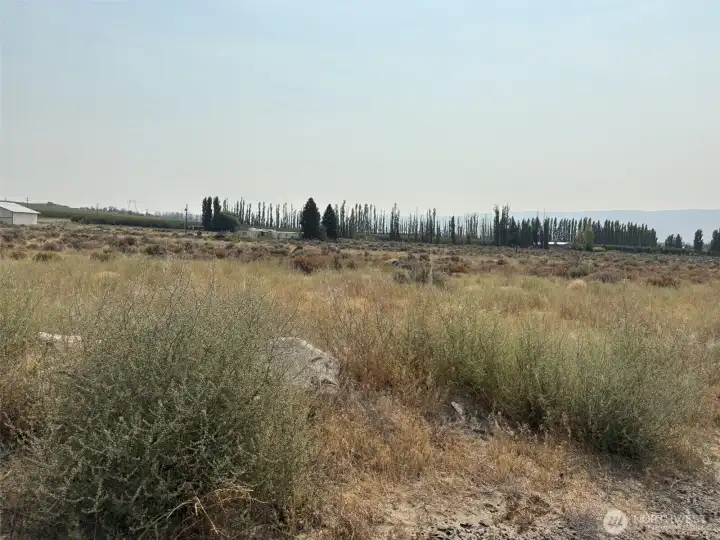 Looking north of the property. You can see the adjacent 11.69 acres coming for sale soon!
