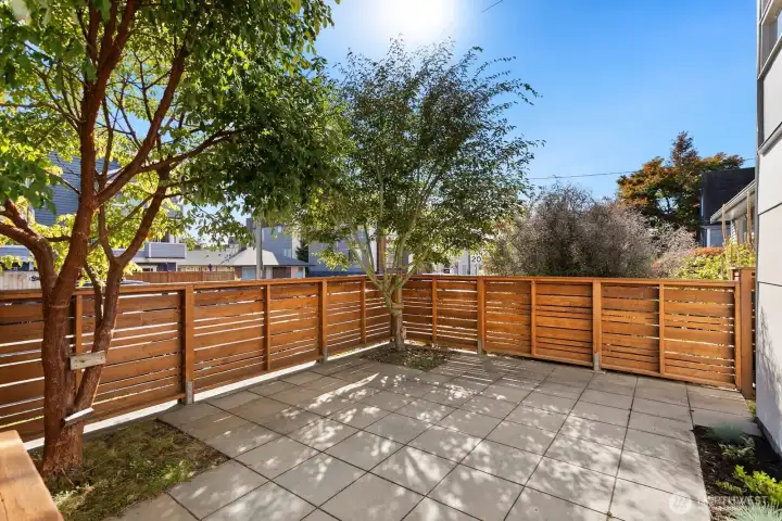 RARE fully fenced yard with patio.