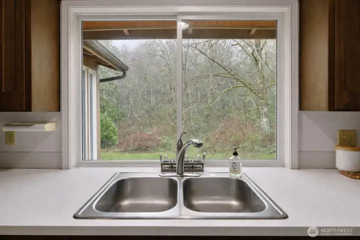 Such a peaceful back yard to enjoy while doing dishes.