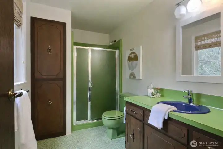 OK, Seahawks fans - go for it!  Have you priced colored fixtures lately?  Make this your own or change over time.  No need to hurry - everything is in such good shape.