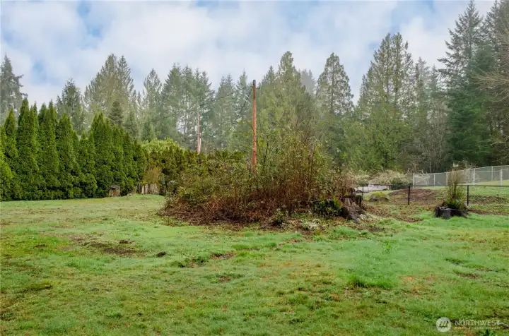 Another view of the adjoining lot