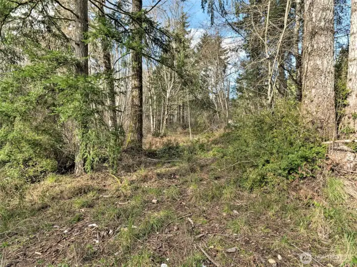 Nice, flat, usable land.