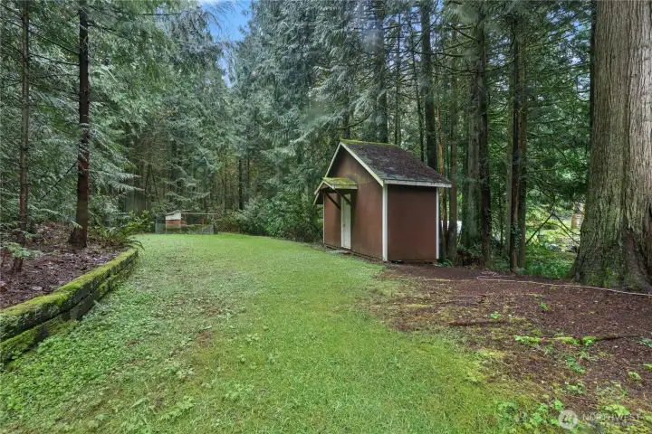 Looking onto your grassy lawn and chicken coop!