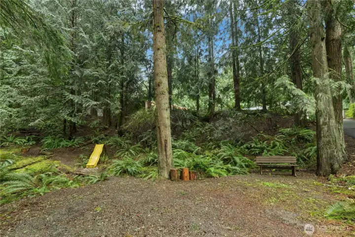 So many possibilities with this lower front portion of the lot!