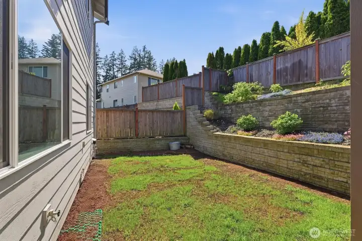 Backyard Terrace w/ Fruit Trees & Bushes