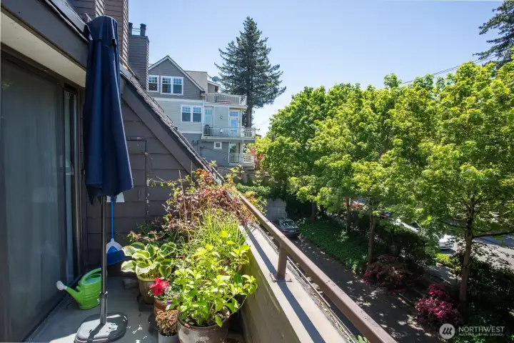Sunny Deck