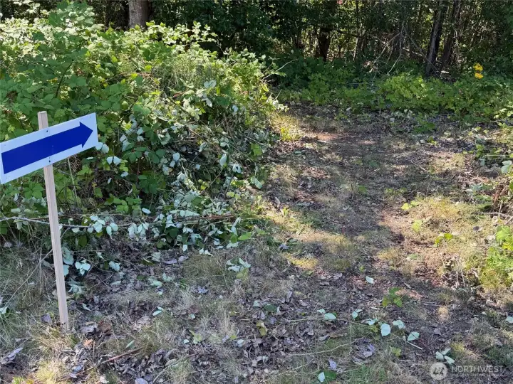 Follow the arrow down to Burham or go left to the SE corner. Follow the arrow down to Burham or go left to the SE corner.