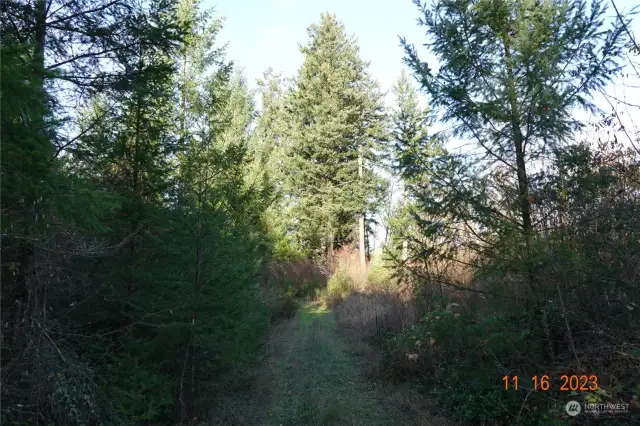 All pictures are representative of Timber  Ridge Tracts and not specific to each lot.