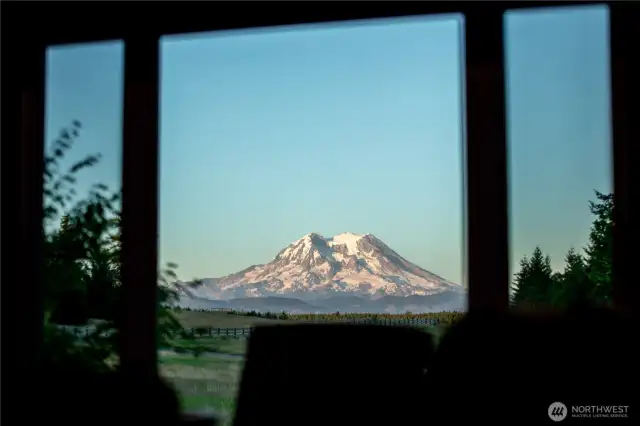 VIEWS FROM THE KITCHEN WINDOW