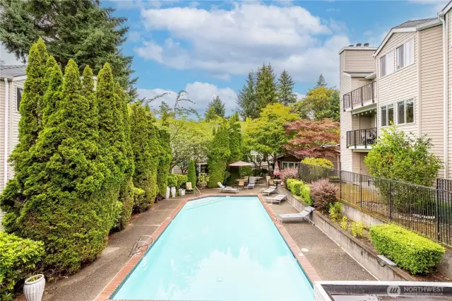 HOA Pool