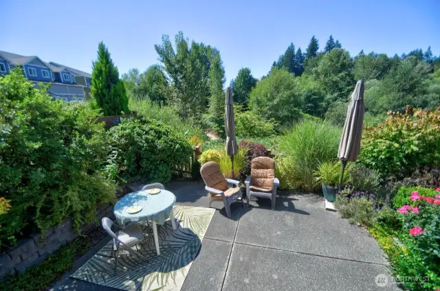 Private oasis for your backyard and patio