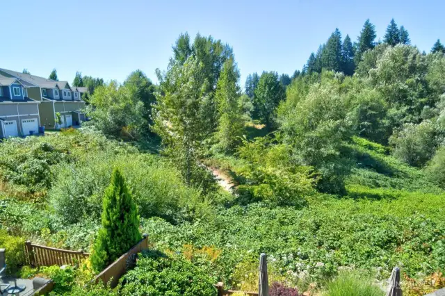 Trail goes from Magnolia Drive's cul de sac to the Olympia Kettle Park