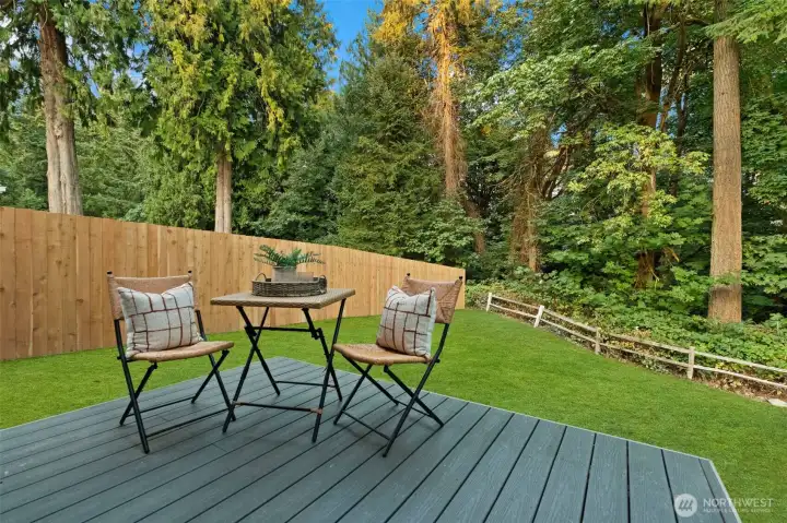 Back Deck