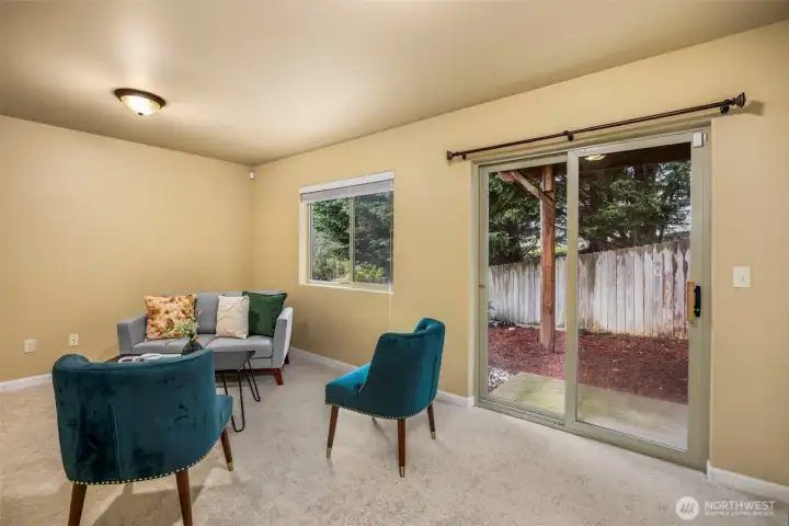 Lower level living area