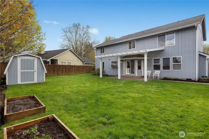 Backyard with shed