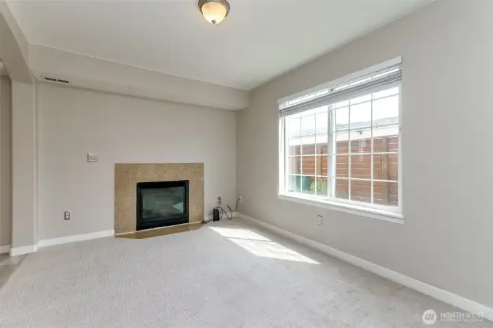 Bright and Sunny Living room with Fireplace