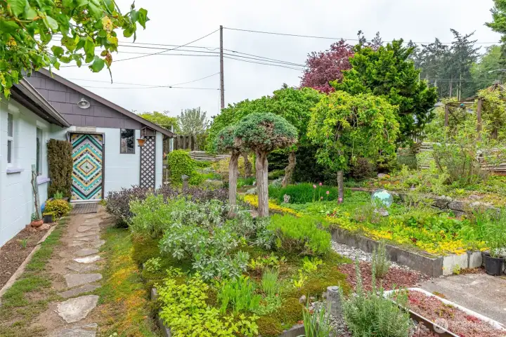 Garage entry door with herbs for cooking close by