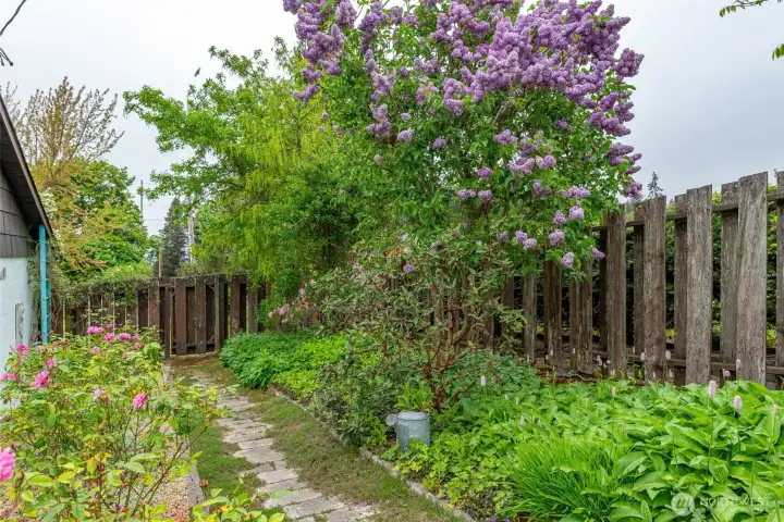 Beautiful fragrant lilac & roses