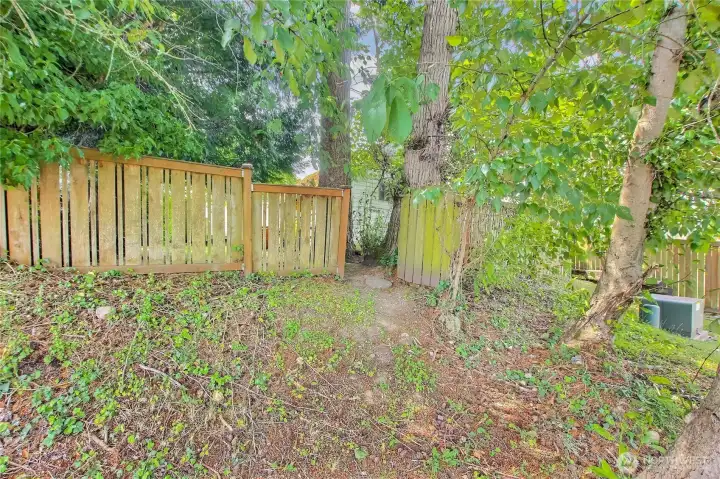 Backyard