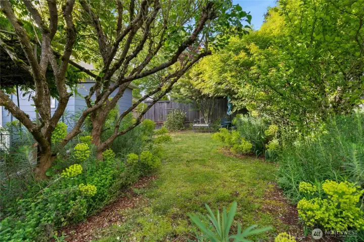You'll love listening to the breeze through these trees... your own private oasis