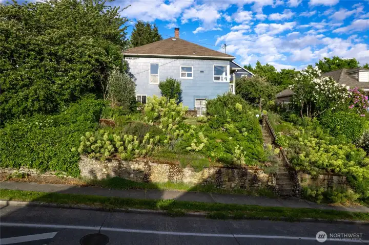 House set back on property featuring a front garden display of Euphobia in full bloom.  Enjoy the drought tolerant, minimal maintenance blooms with color variation during spring and most of the summer.