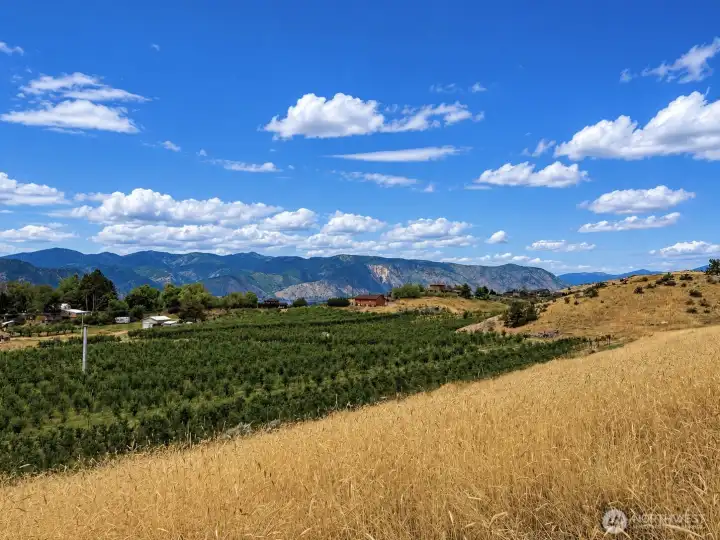 Expansive territorial views