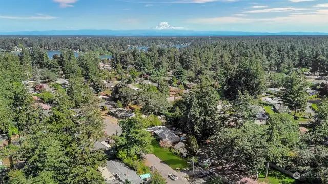 Mt Rainier in its glory in the distance