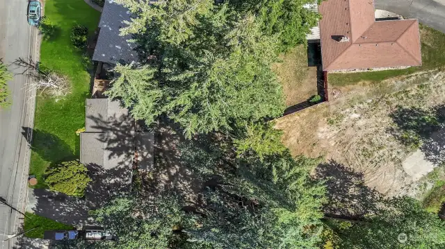 To the right you can see there is nothing on the other side of the back fence of this property at this time.