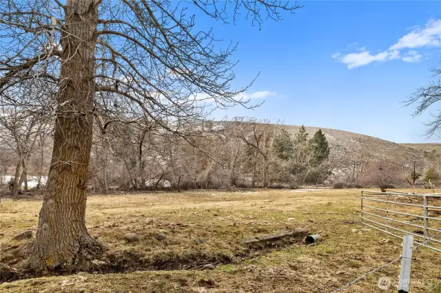 KRD irrigated, fully fenced pastures.