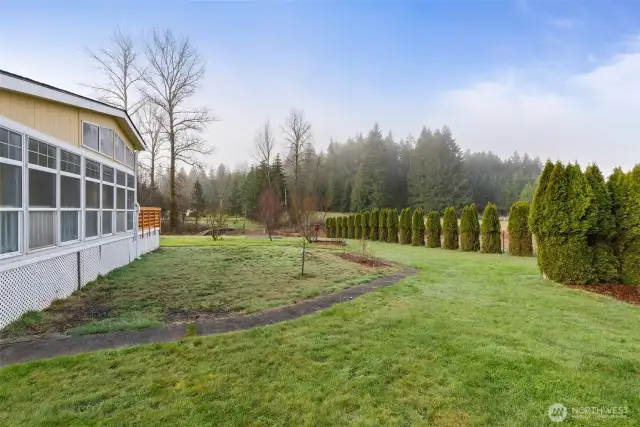 Front yard
