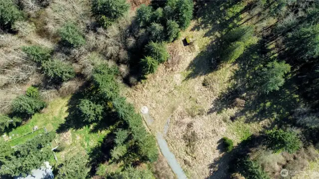 Cleared area for build site