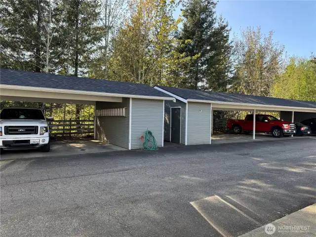 Covered patio parking with storage.