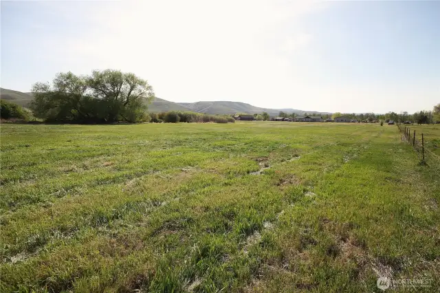 NE corner of property looking SW