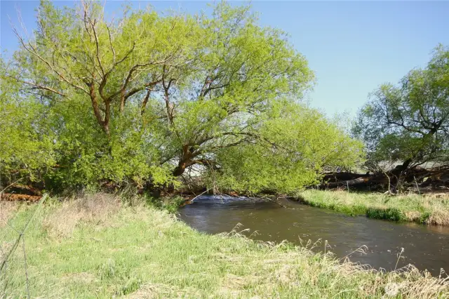 Wilson Creek